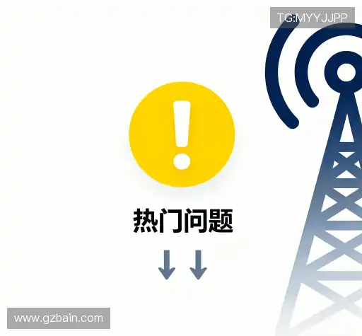 用户指南